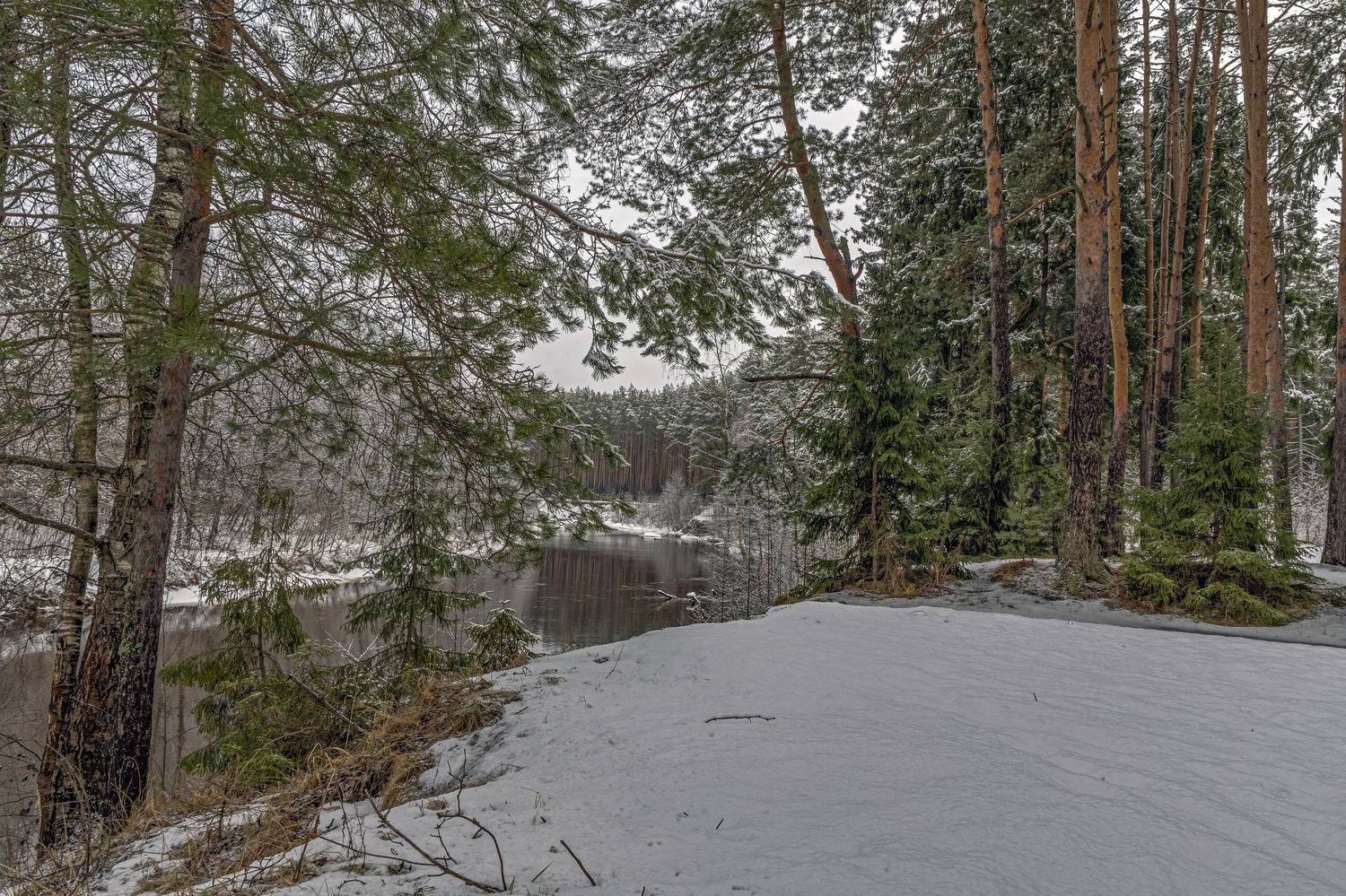 , Шитов Александр