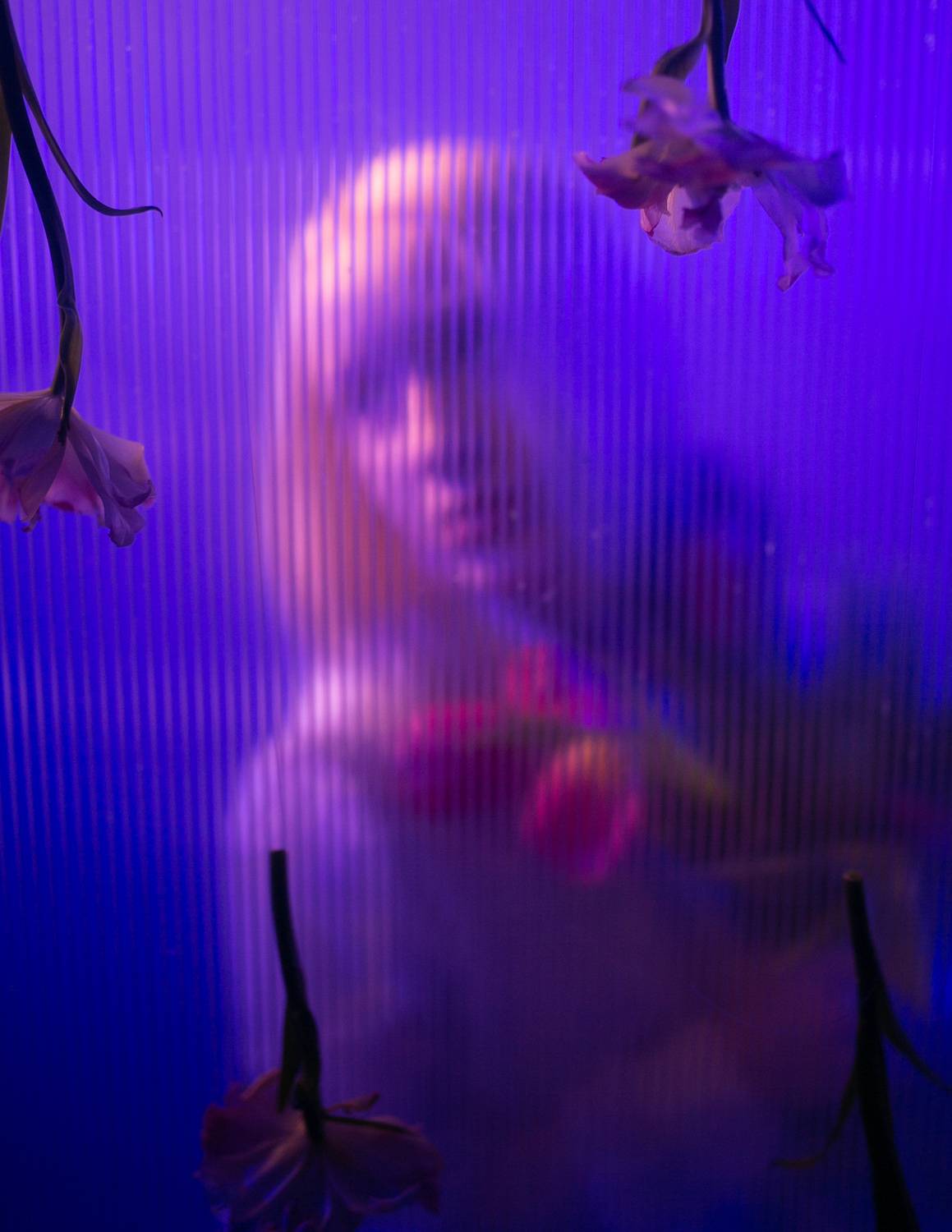 35mm, 4x5, 6x6, 6х6, 85mm, Art, Artnude, Ballerina, Ballet, Battur, Beautiful, Beauty, Canon, Canon 5D Mark III, Car, Color, Dance, Dress, Emotion, Eyes, Face, Flowers, Ganzo, Genre, GirlHair, Hero,LightLilac, Model, Mongol, Mongolia, Гергерт Вероника