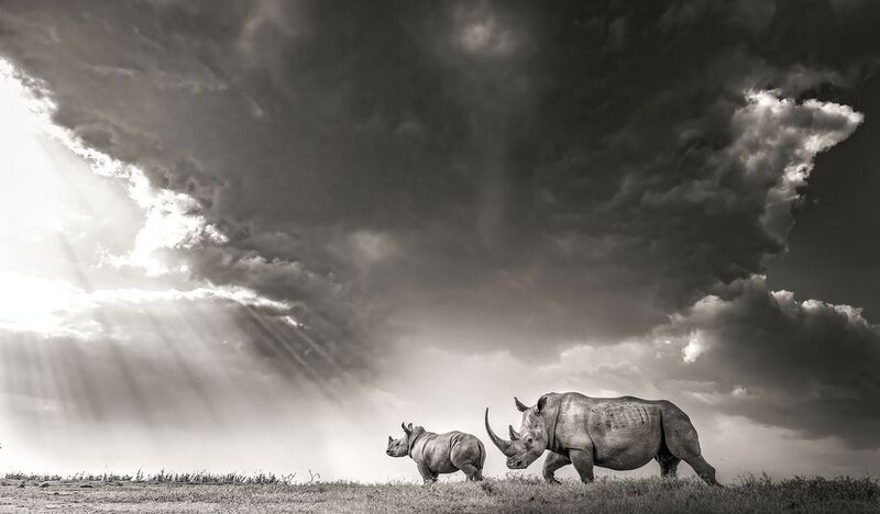 Heading to the light фото превью