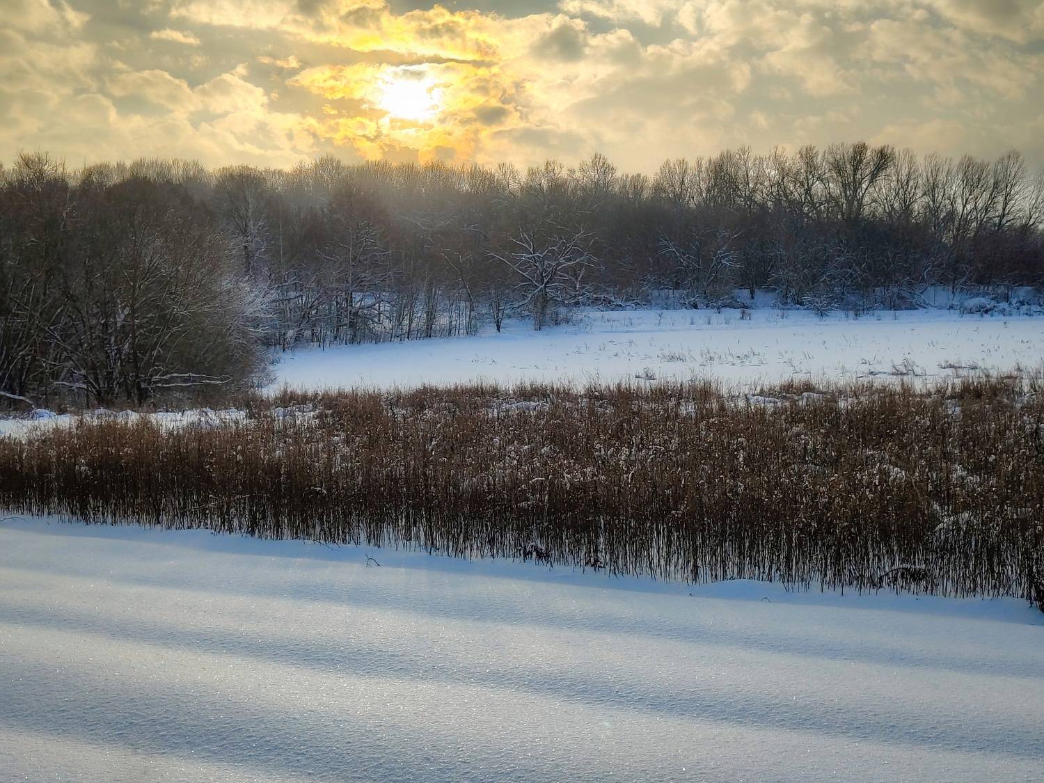 , Кондрашова Светлана