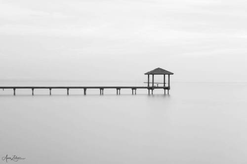 The Jetty
