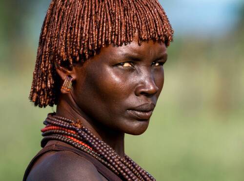 Ох, уж эти хамер!