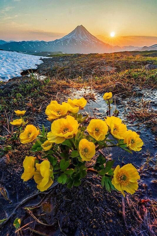 камчатка  фото превью