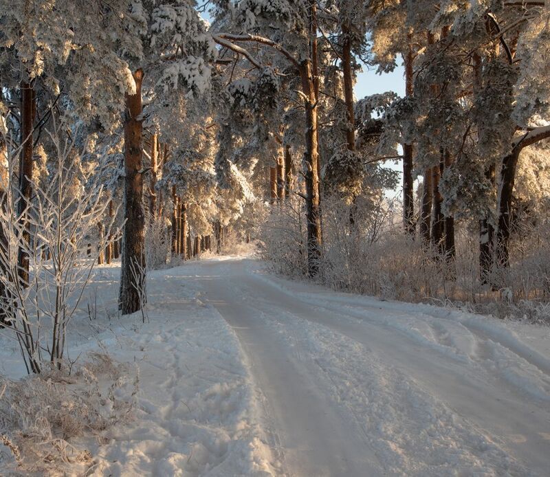 Морозная сказка в Заречном парке.  фото превью