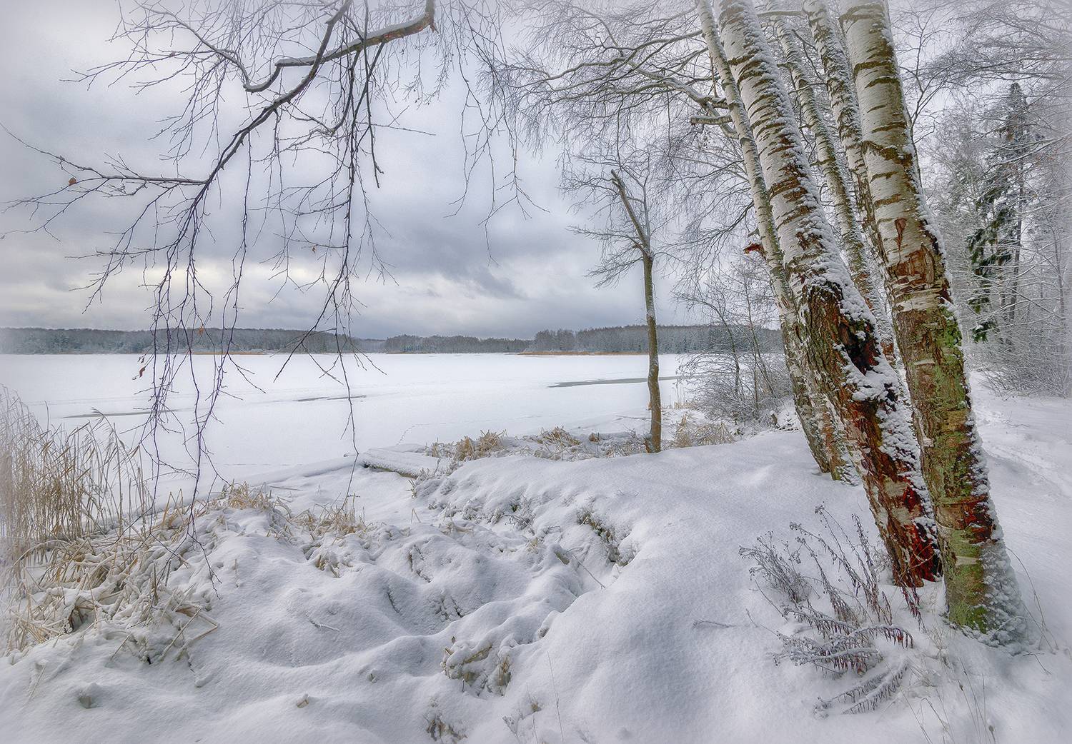 , Сергей Аникин