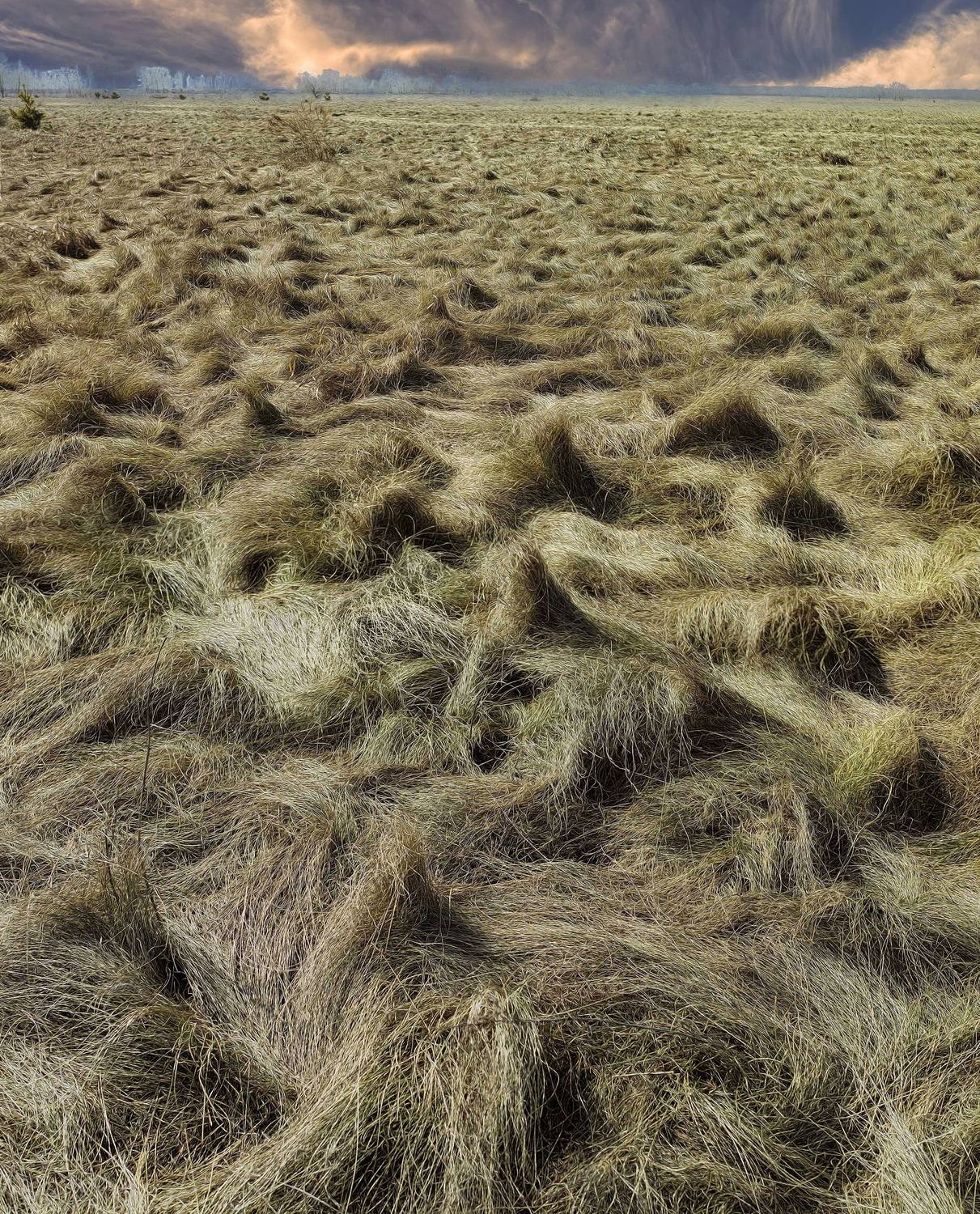 , Борис Бусыгин