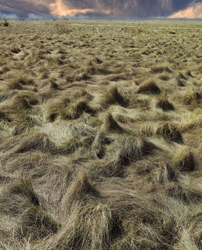 Апрель фото превью