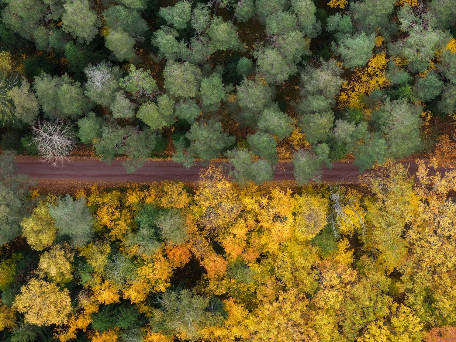 Валаам, Кондратенко Руслан