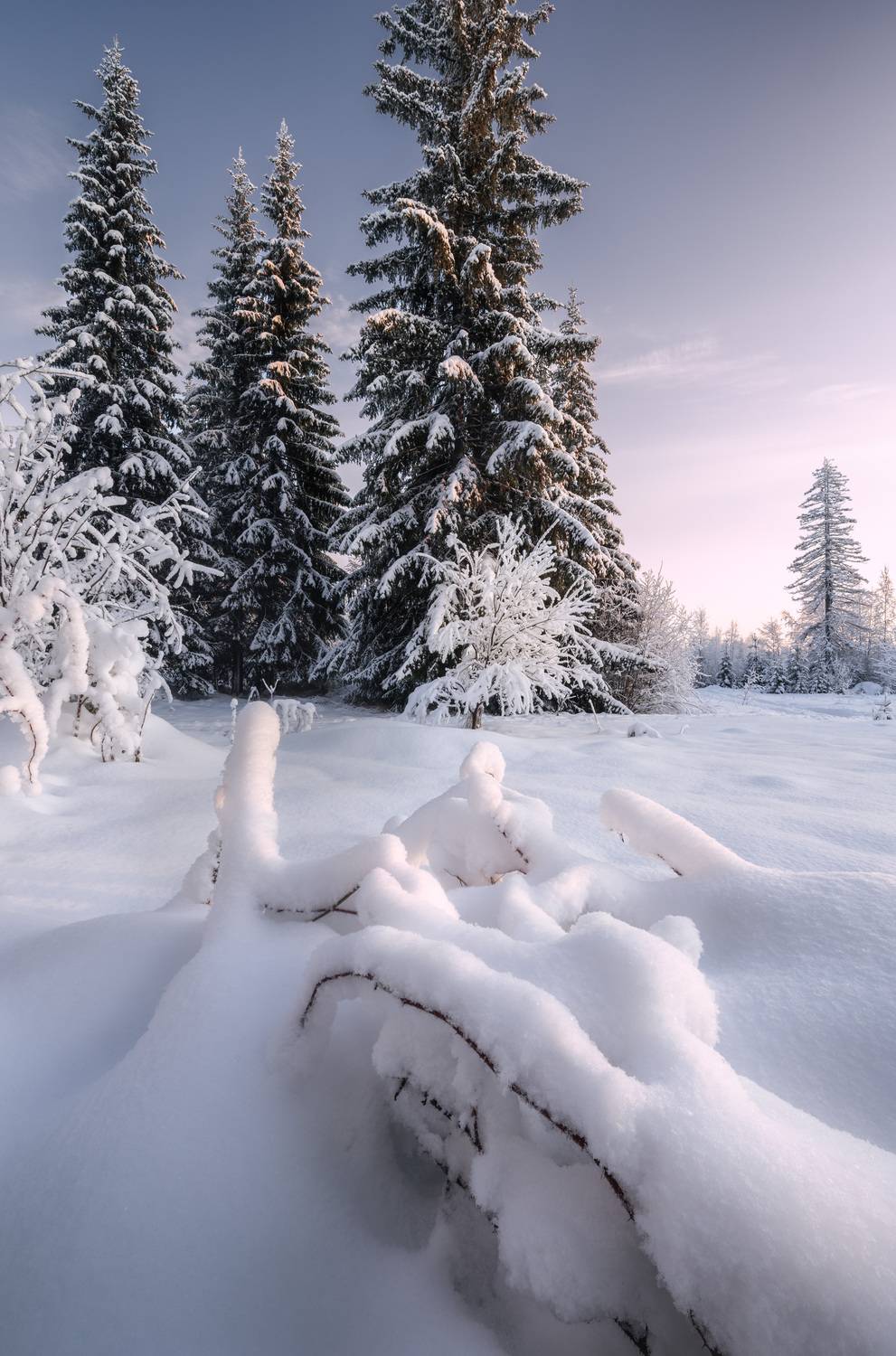 , Алексей Турчин