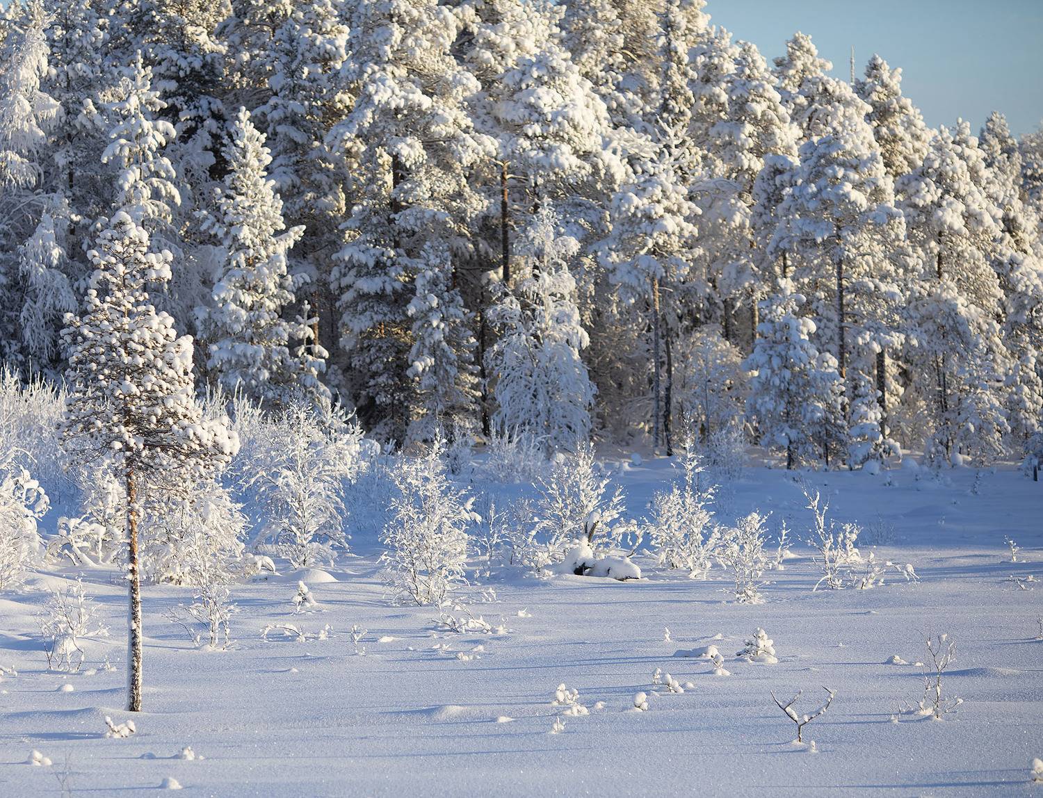 пейзаж, заполярье, север, природа, красота, landscape, north, nature, beautiful, Стукалова Юлия