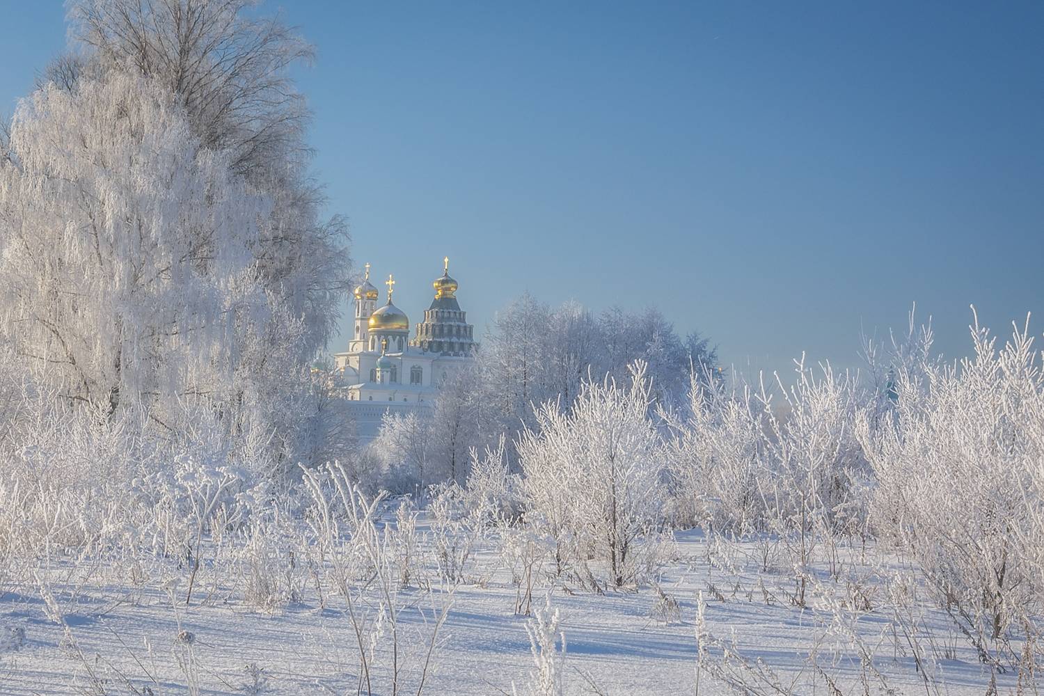 Истра, Гусева Елена