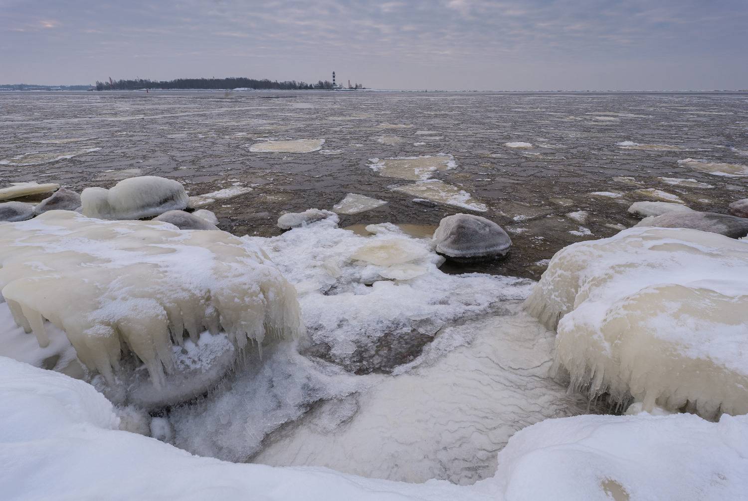 , Гордон Николай