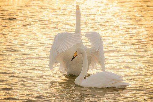 Ты моя любовь!!!