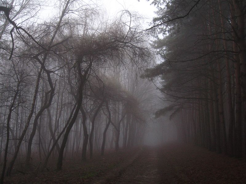 melancholy фото превью