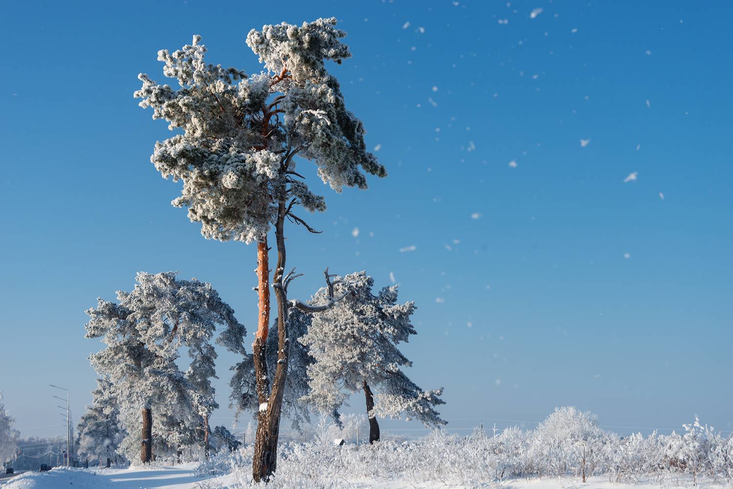, Владимир Ноздрачев