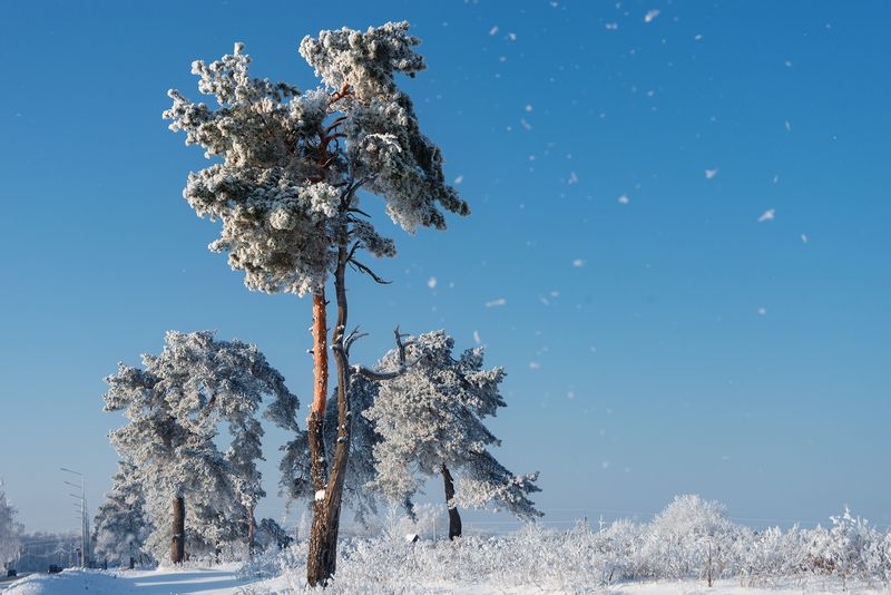 Зима за городом фото превью