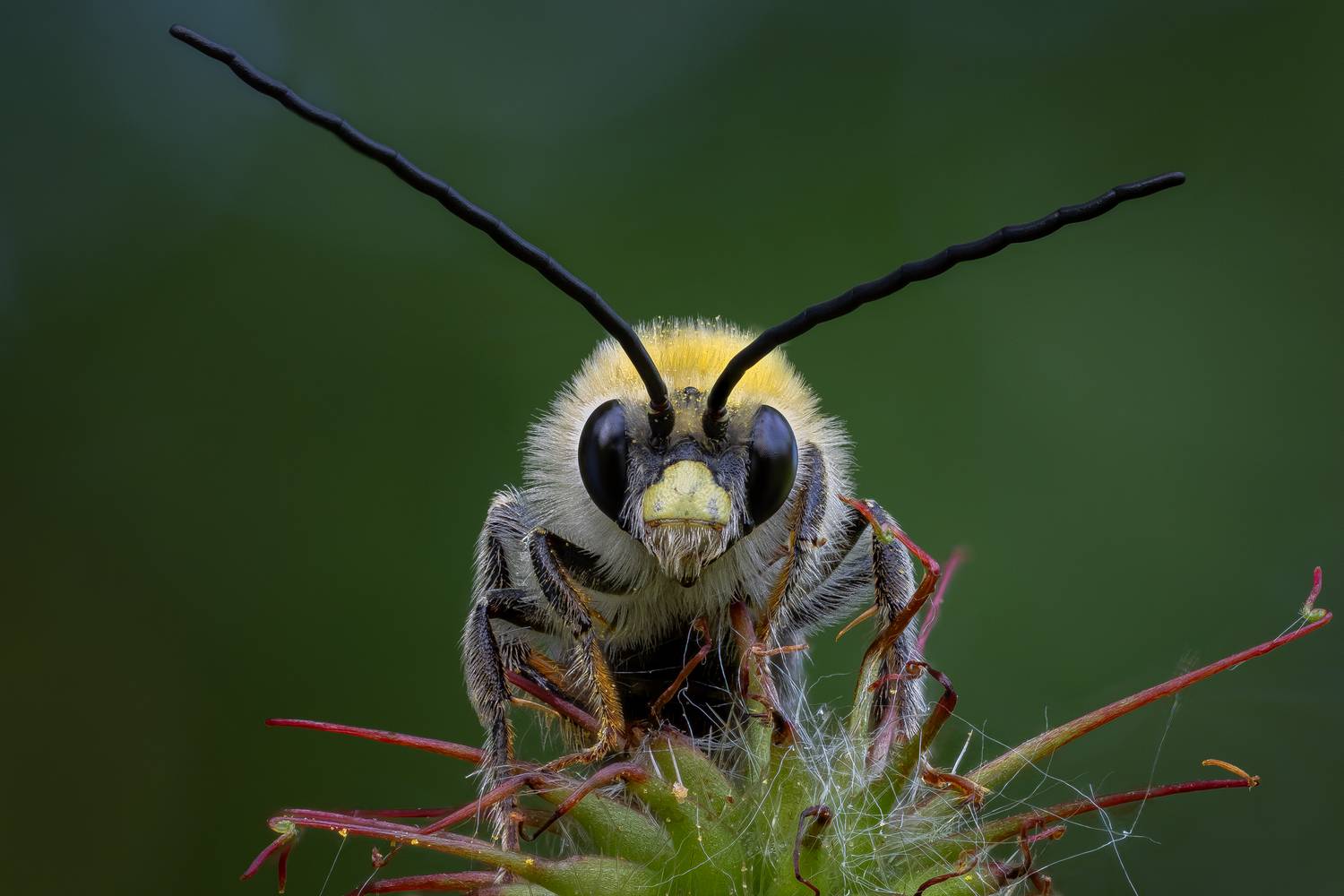 , Кузнецов Дмитрий