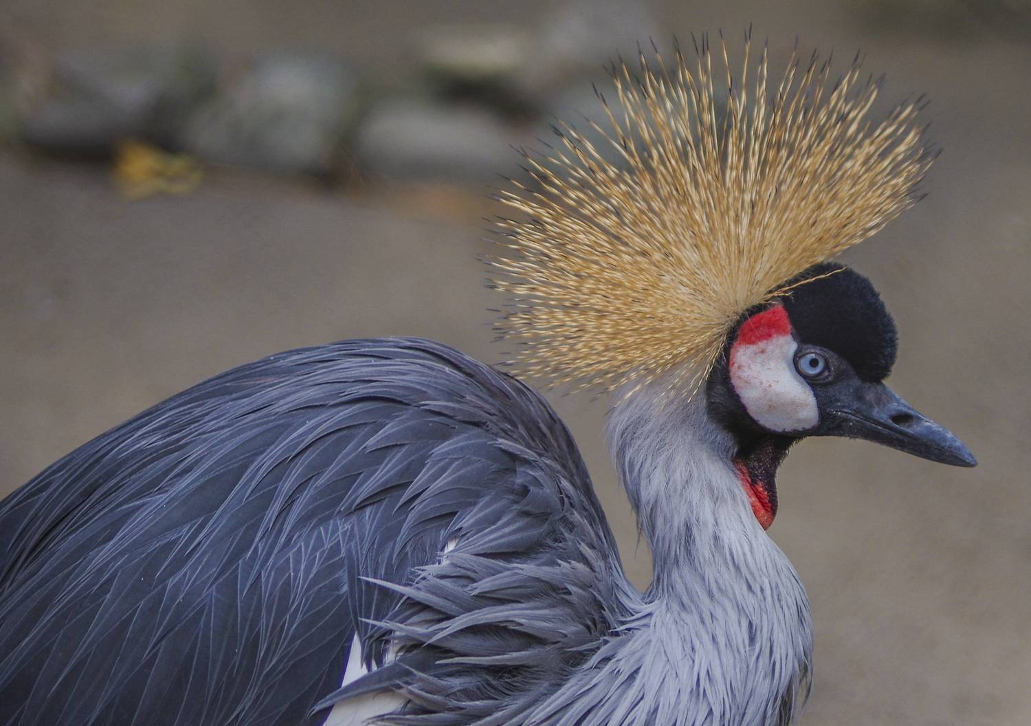 , Михаил Измайлов