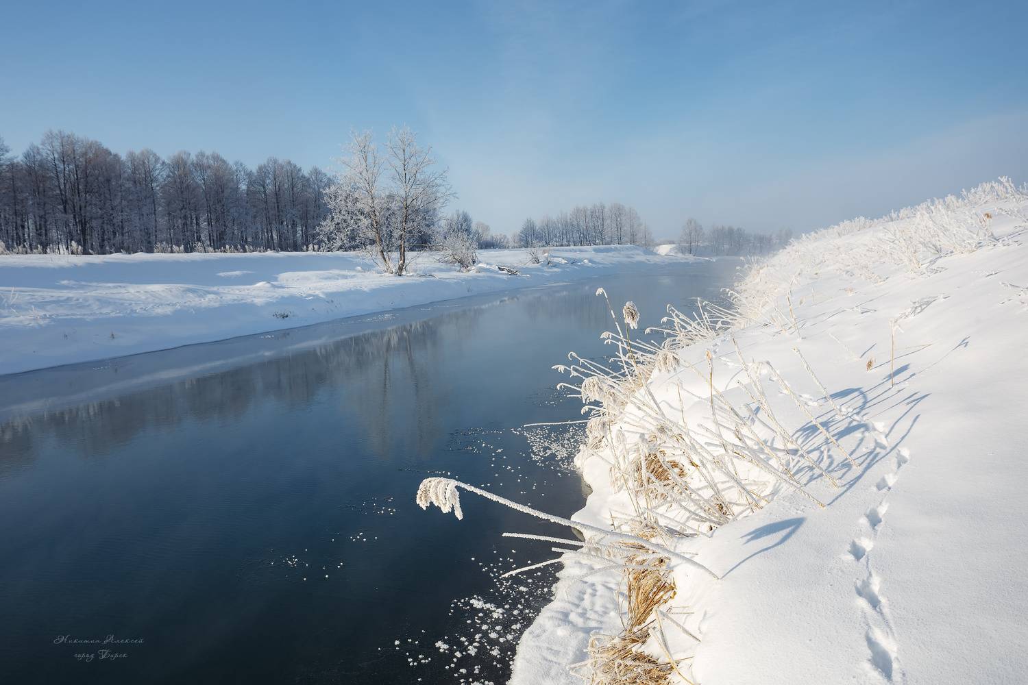 , Никитин Алексей