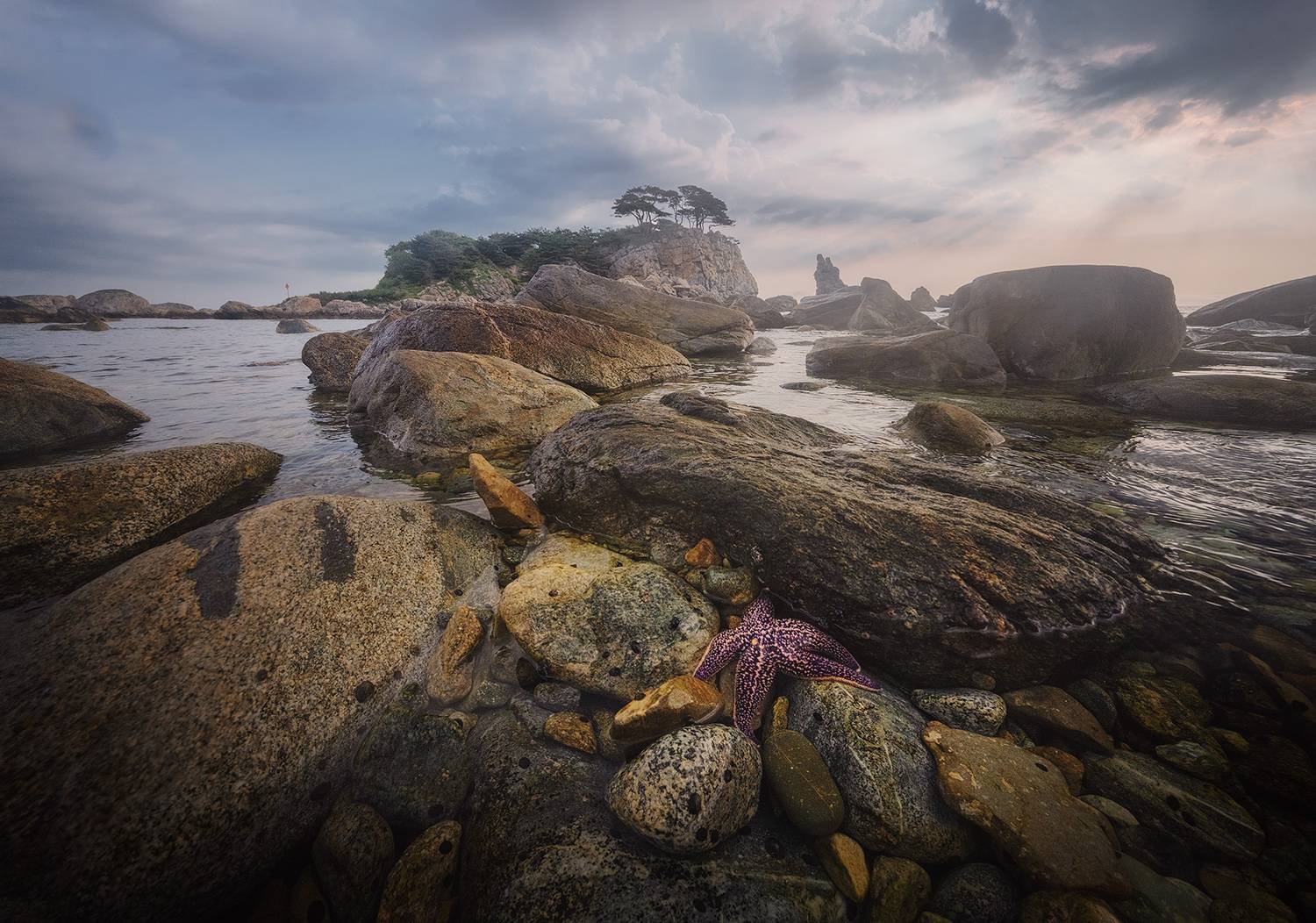 , Андрей Родионов