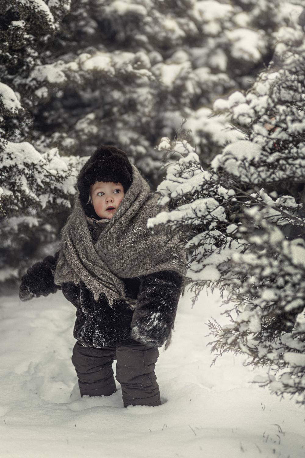 , Дмитрий Арабаджи