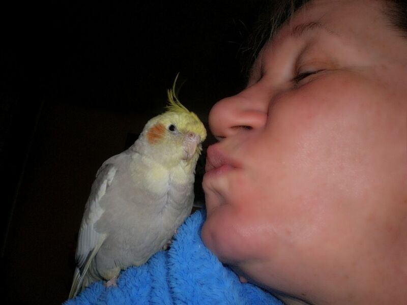 фото превью