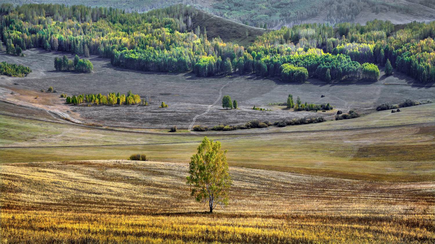 , Ушаков Валерий