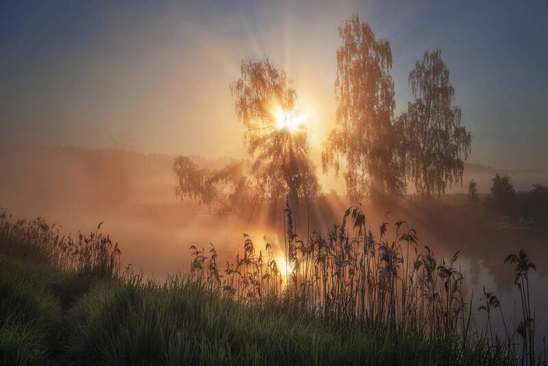 Крылья жар-птицы фото превью