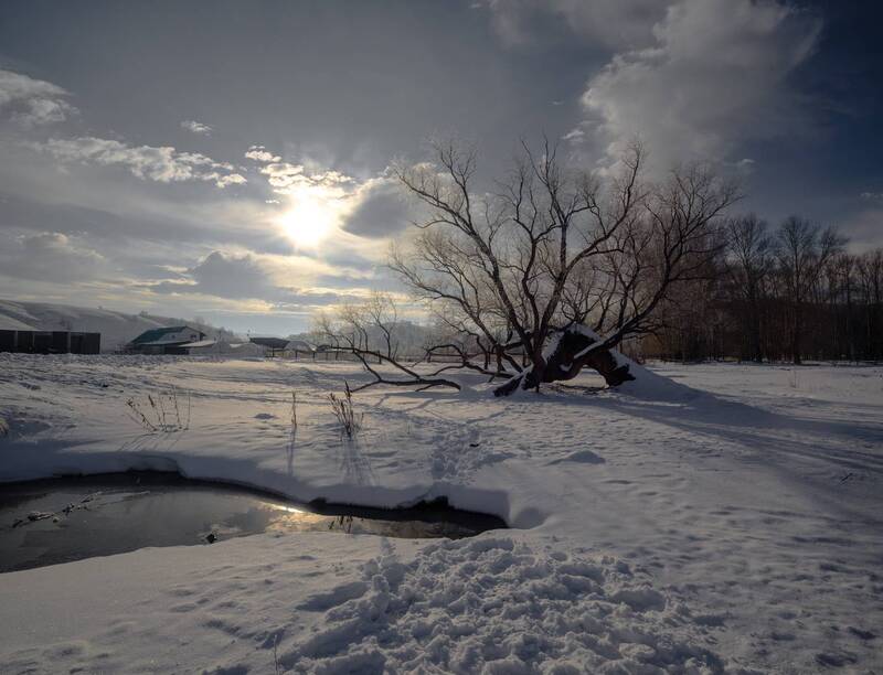 зима в Ярлыкапово фото превью