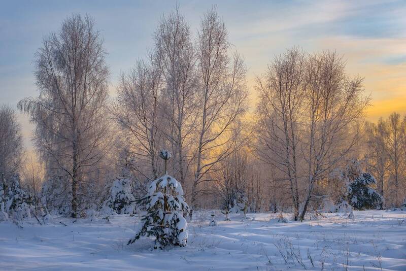 Морозное утро. Воронино. фото превью