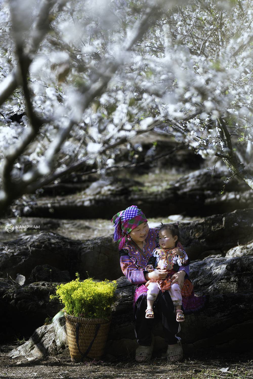 ,  Nam Pham photographer