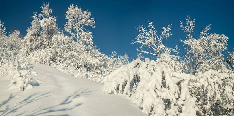 And Winter Came ... фото превью