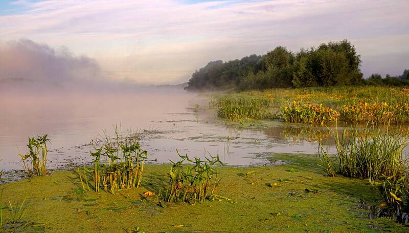лето река рассвет туман облака природа пейзаж Ока. фото превью