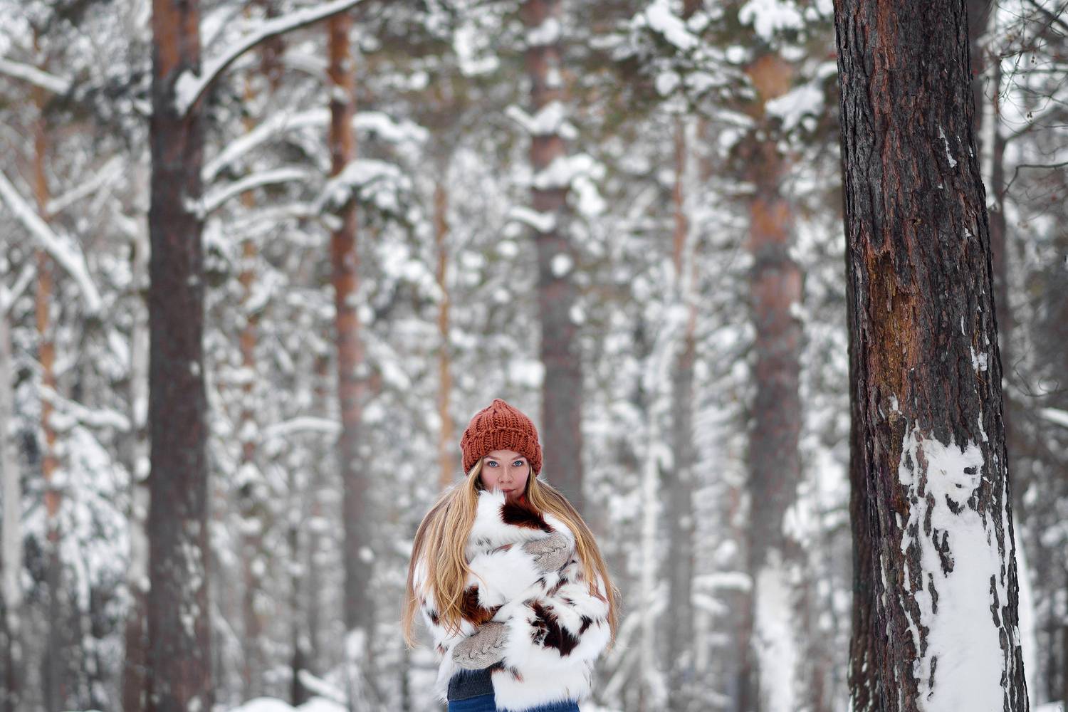 , Лыткин Денис