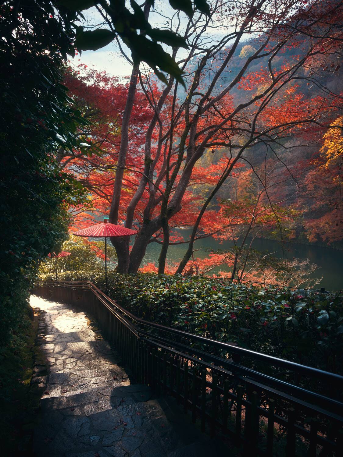 осень, момидзи, япония, токио, киото, аросияма, клены, красный, Сергей Садов