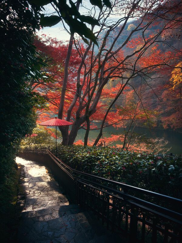 Сезон момидзи фото превью