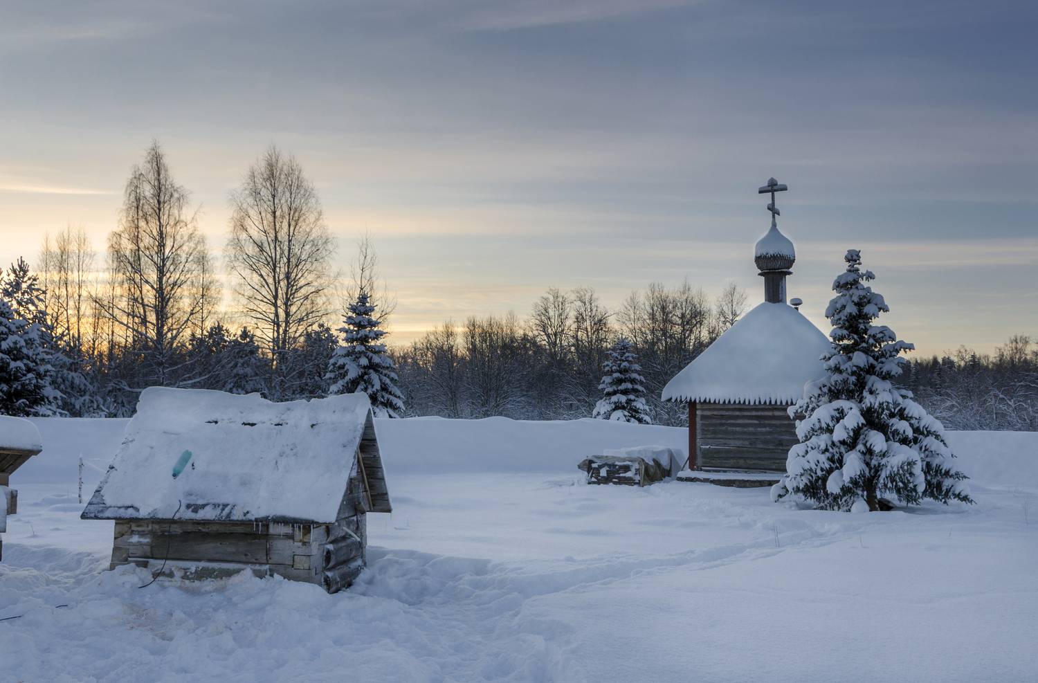 , Алексей Алешин