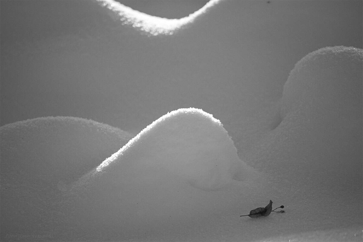 , Чудинин Дмитрий