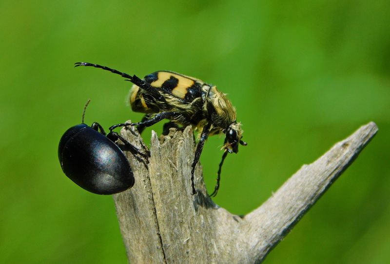 Соблюдай дистанцию фото превью