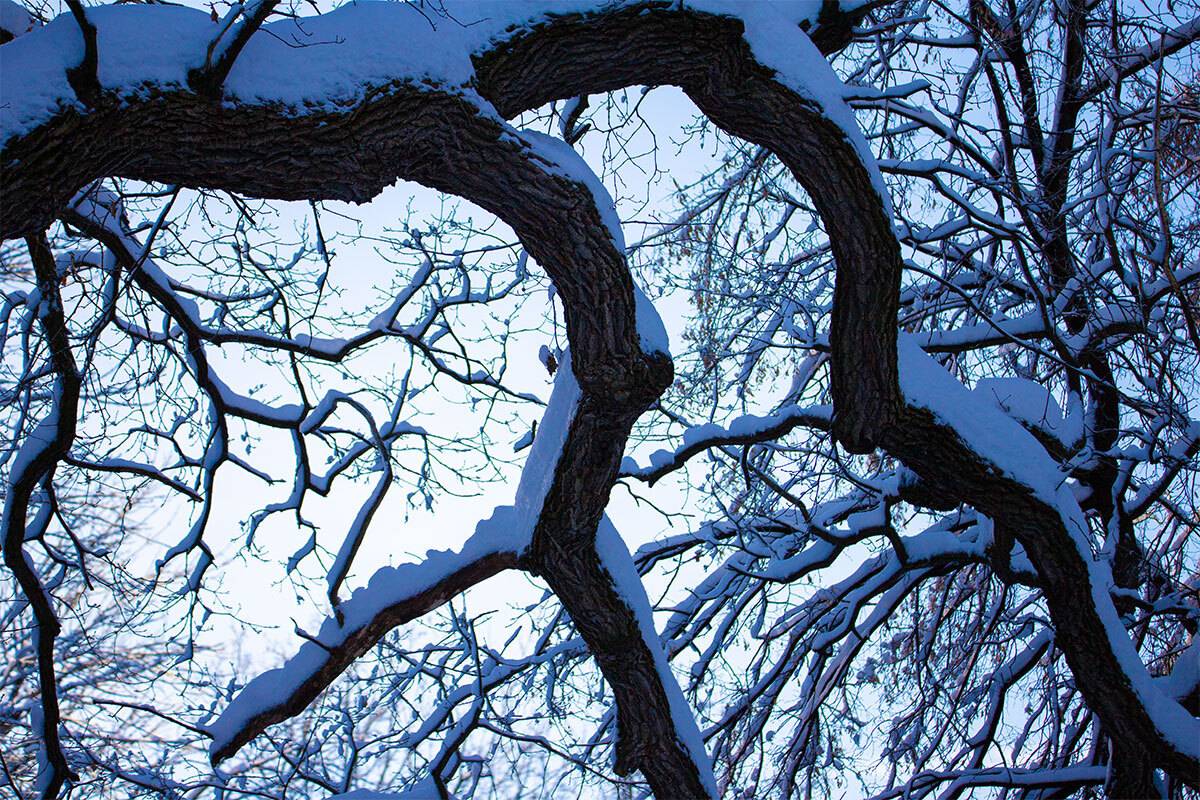 , Чудинин Дмитрий