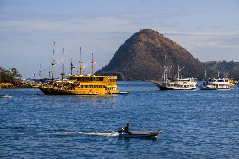 индонезия, комодо, острова, острова комодо, остров, остров комодо, остров ринча, дракон, комодский дракон, варан, комодский варан, komodo, komodo national park, varanus komodoensis, национальный парк, национальный парк комодо, григорий беденко, Комодо фото превью