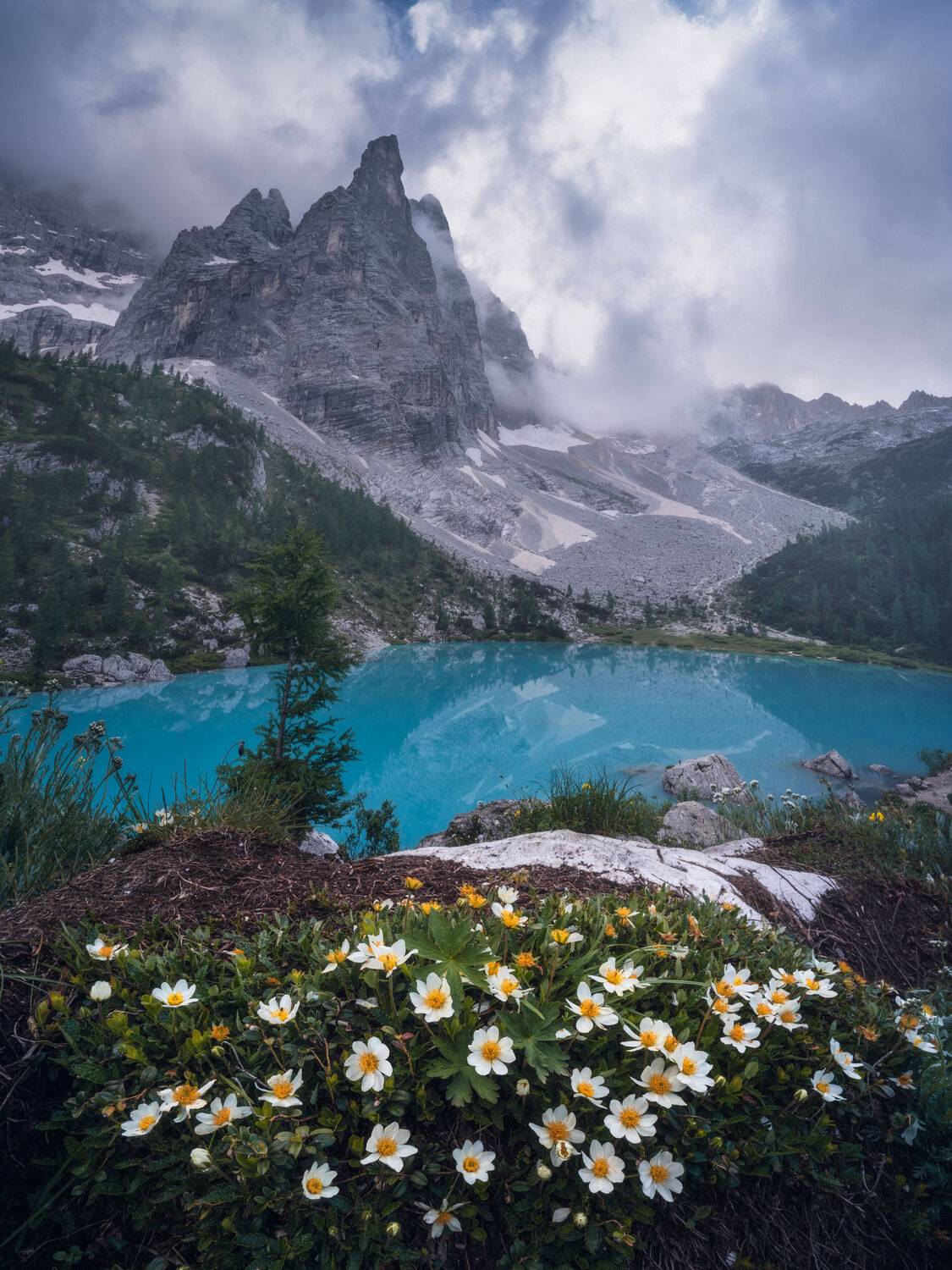 , Вукотић Никола