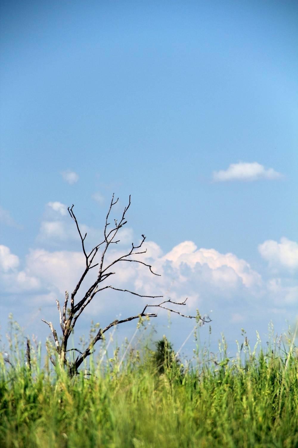 , Герасимов Игорь