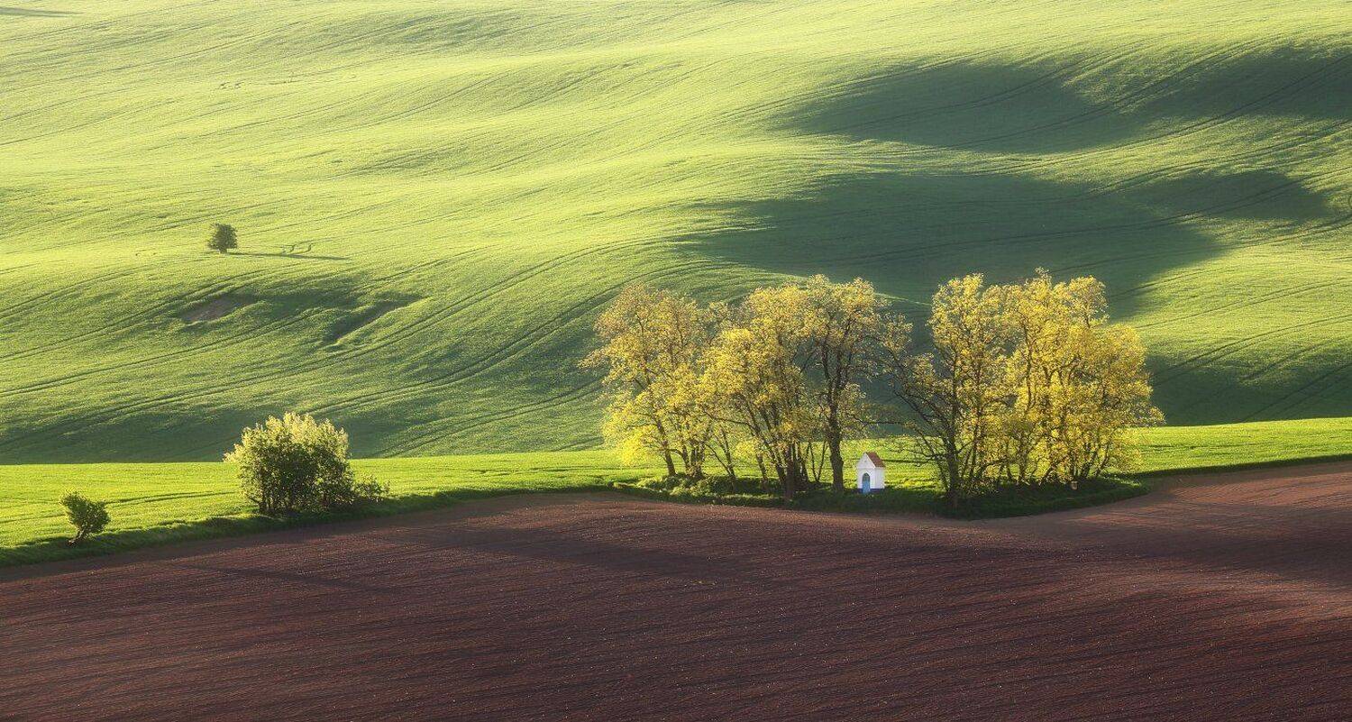 моравия, чехия, весна, май, капличка, часовня, поле, Евгений Матюшенков