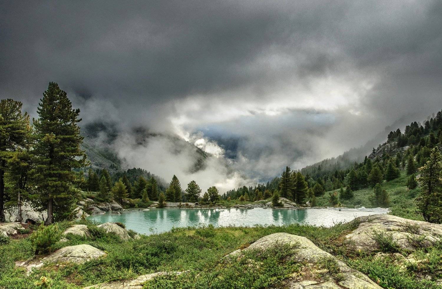 , Алексей Кретов