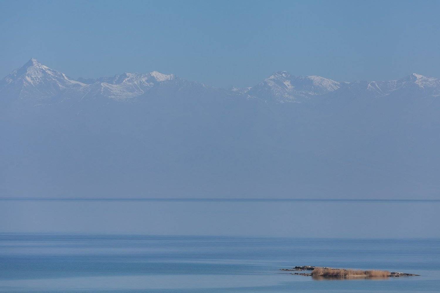 , Дмитрий Кривопалов