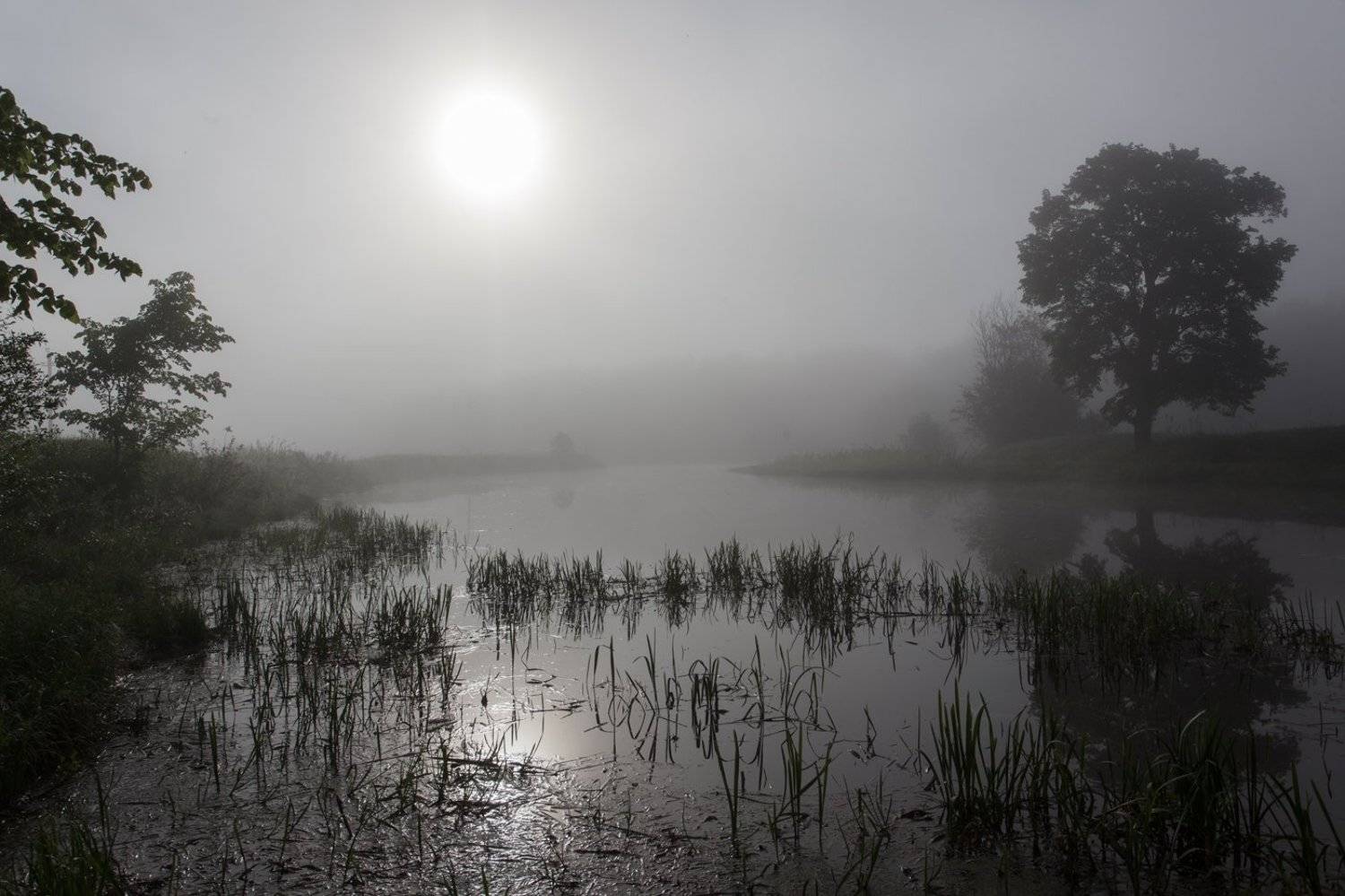 , Евгений Цветков