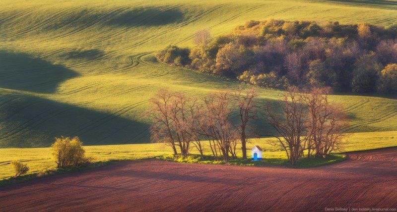 пейзаж, поля, часовня, моравия, чехия, закат, поле, телевик, волны, холмы, дерево Известная часовня в Южной Моравии  фото превью
