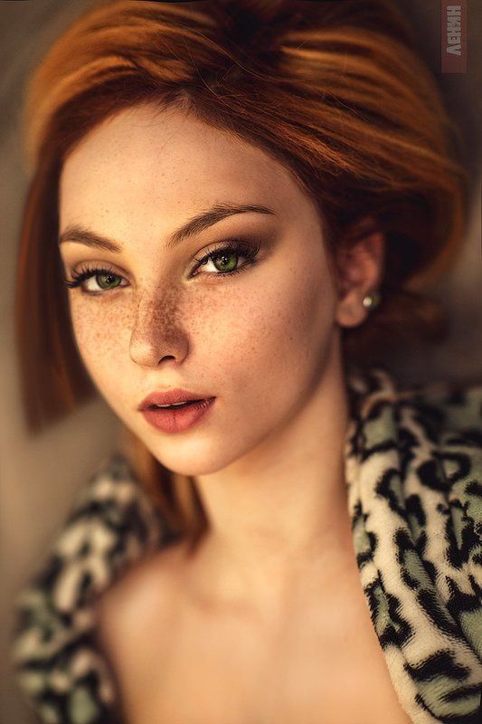 Лисица... фото превью