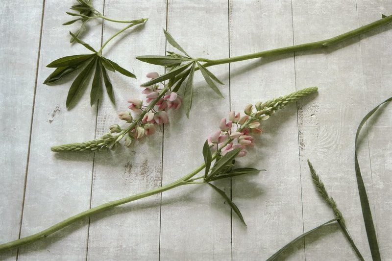 *** фото превью